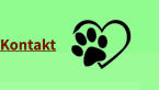 Kontakt